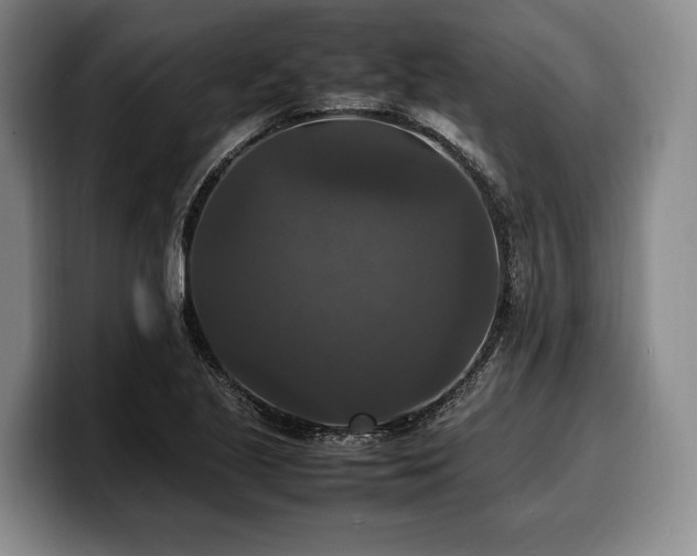 X0000100311221200806051449