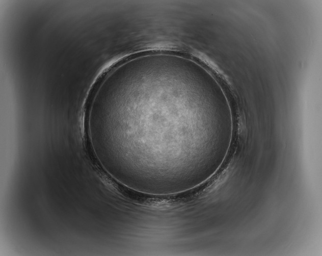 X0000100311222200806051449