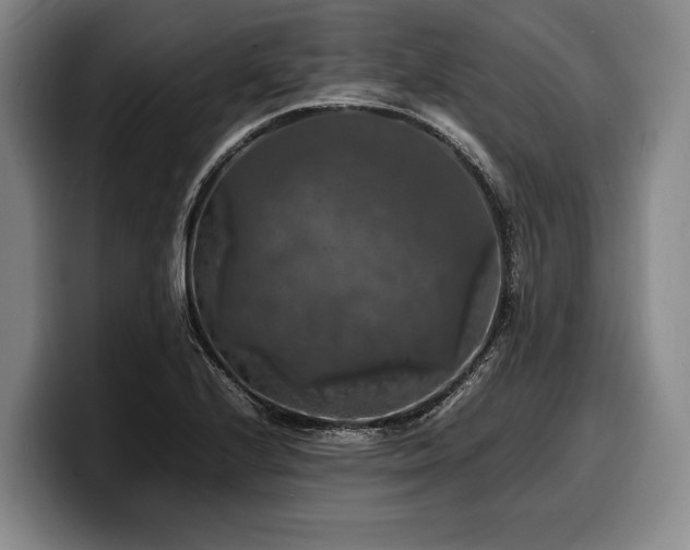X0000100311224200806051449