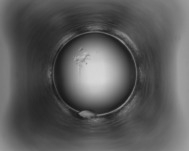 X0000100311225200806051449