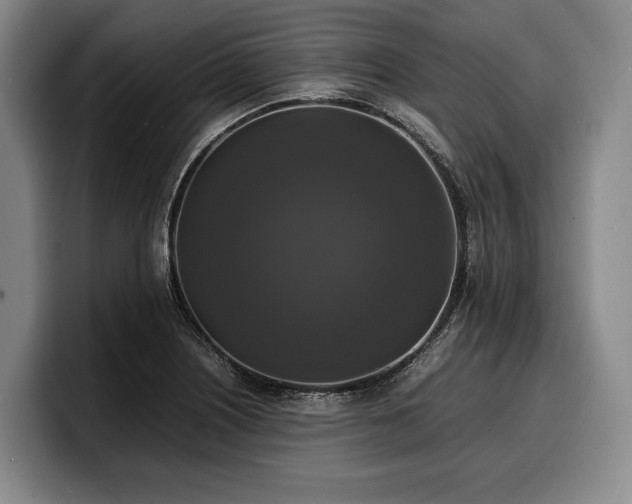 X0000100311226200806051449