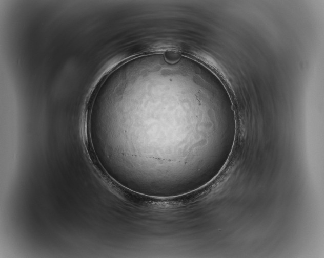 X0000100311227200806051449