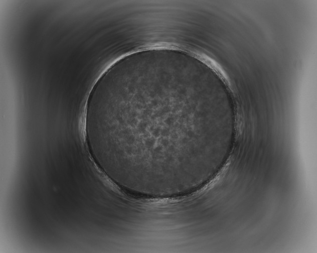 X0000100311228200806051449