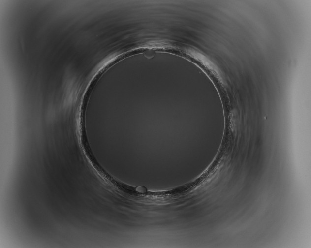 X0000100311229200806051449