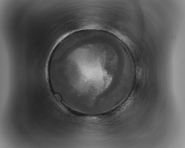 X0000100311230200806051449