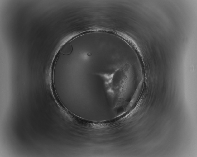 X0000100311231200806051449