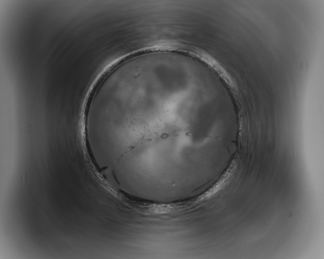 X0000100311232200806051449
