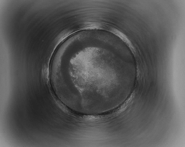 X0000100311234200806051449