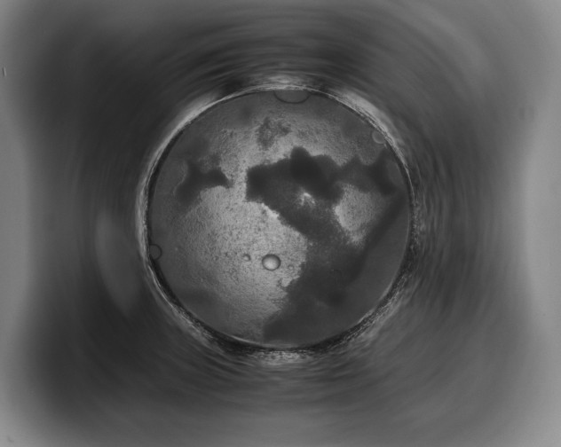X0000100311235200806051449