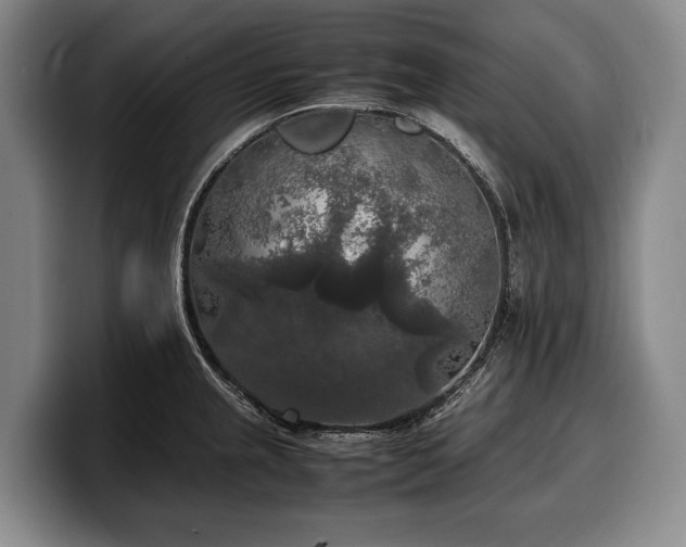 X0000100311237200806051449