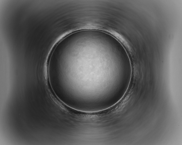 X0000100311238200806051449