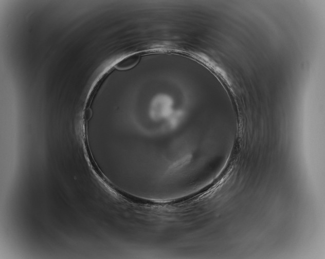 X0000100311239200806051449