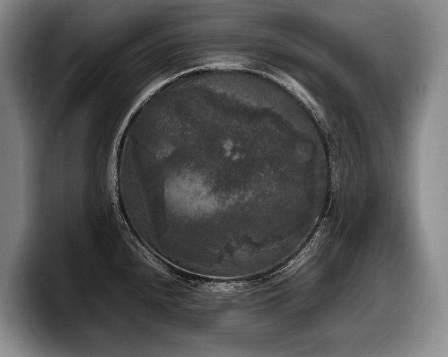 X0000100311240200806051449