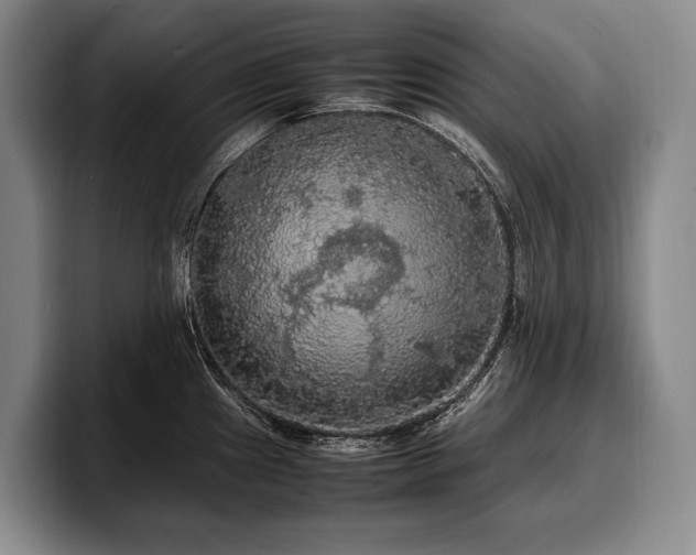 X0000100311241200806051449