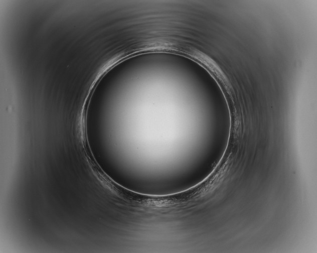 X0000100311242200806051449