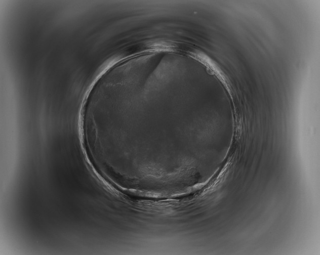 X0000100311243200806051449