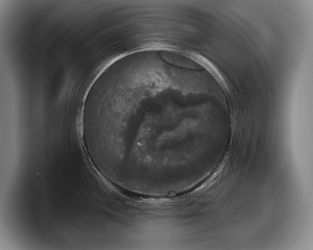 X0000100311244200806051449
