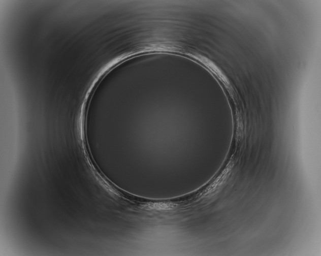 X0000100311246200806051449