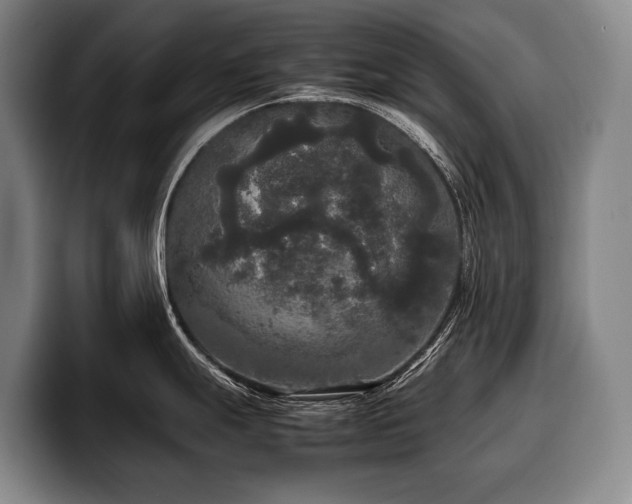 X0000100311247200806051449