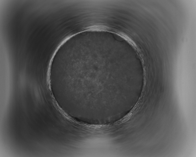 X0000100311248200806051449