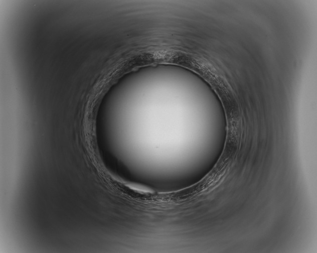 X0000100311249200806051448