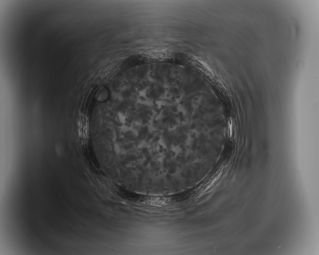 X0000100311251200806051448