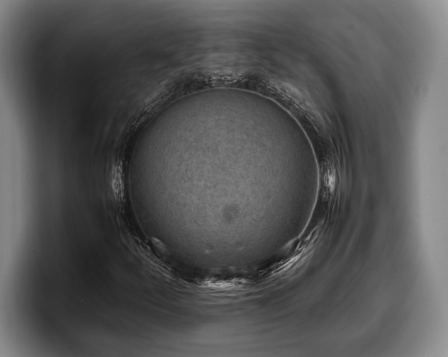 X0000100311252200806051448