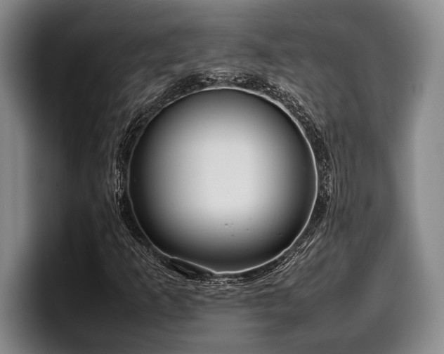 X0000100311253200806051448