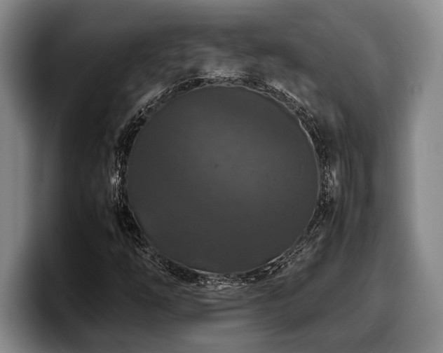 X0000100311254200806051448