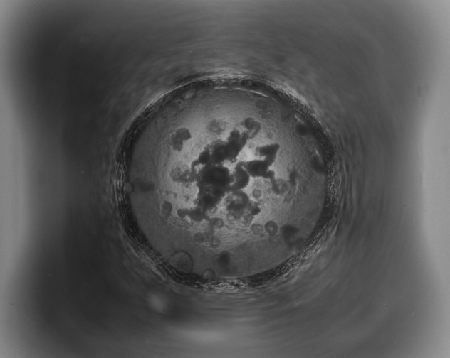 X0000100311255200806051448