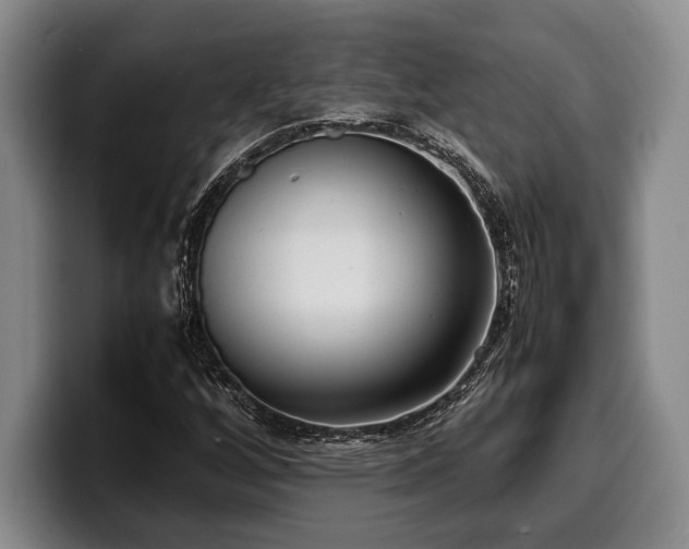X0000100311256200806051448
