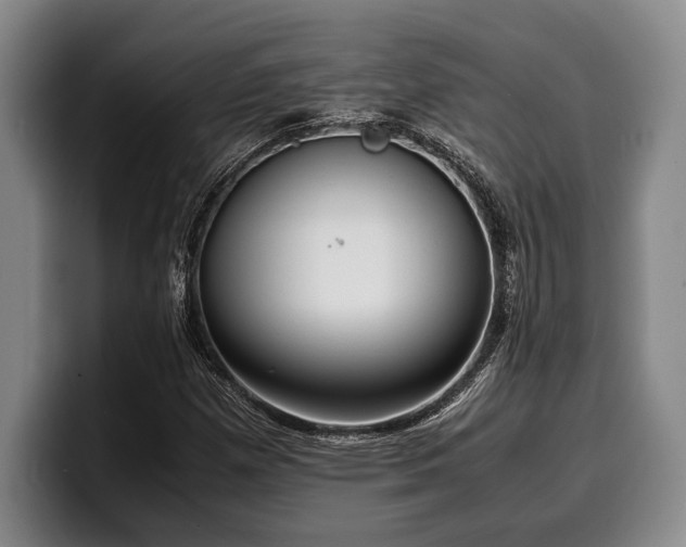 X0000100311257200806051448