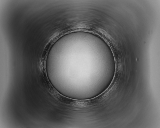 X0000100311258200806051448