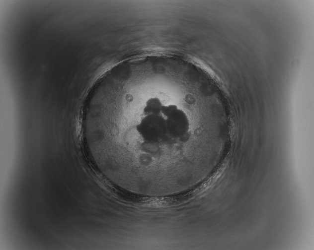 X0000100311259200806051448