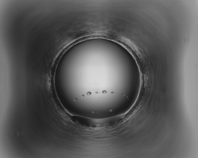 X0000100311260200806051448