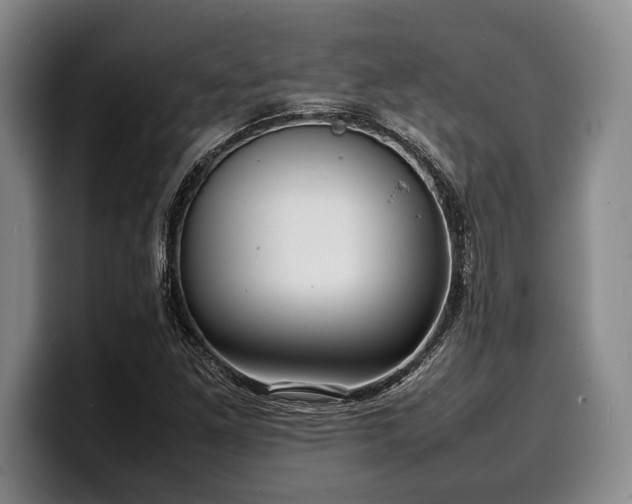 X0000100311261200806051448