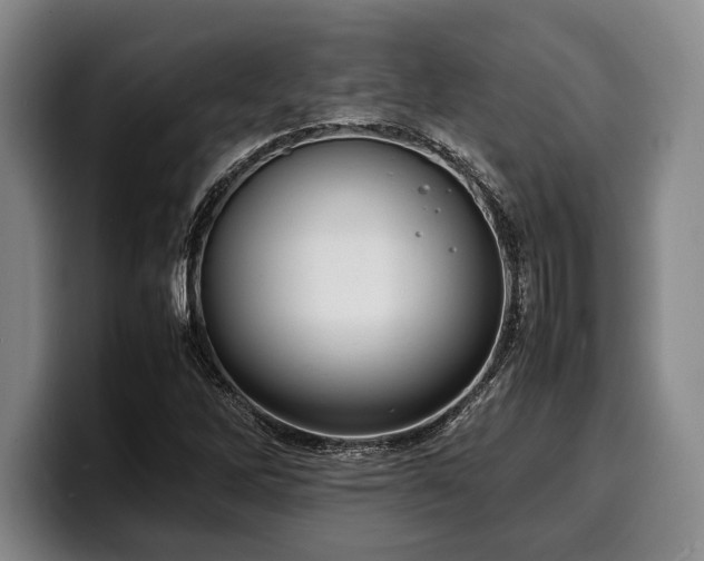 X0000100311262200806051448