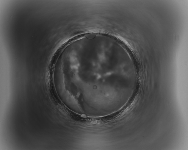 X0000100311263200806051448
