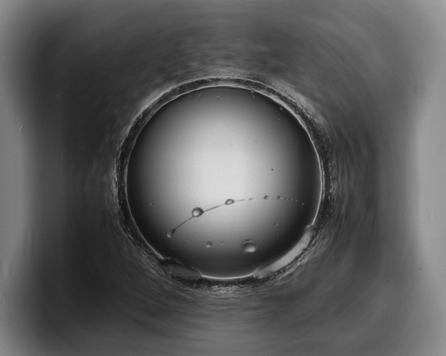 X0000100311264200806051448