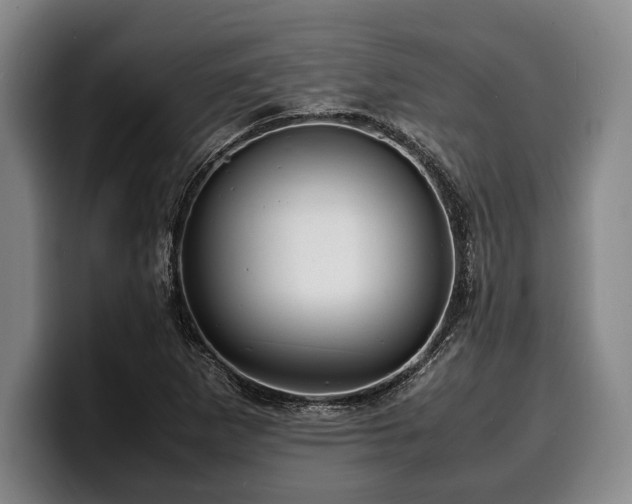 X0000100311265200806051448
