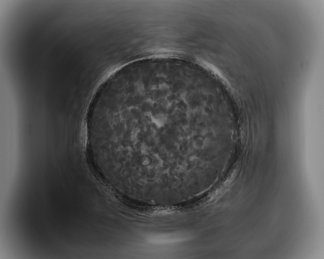 X0000100311267200806051448