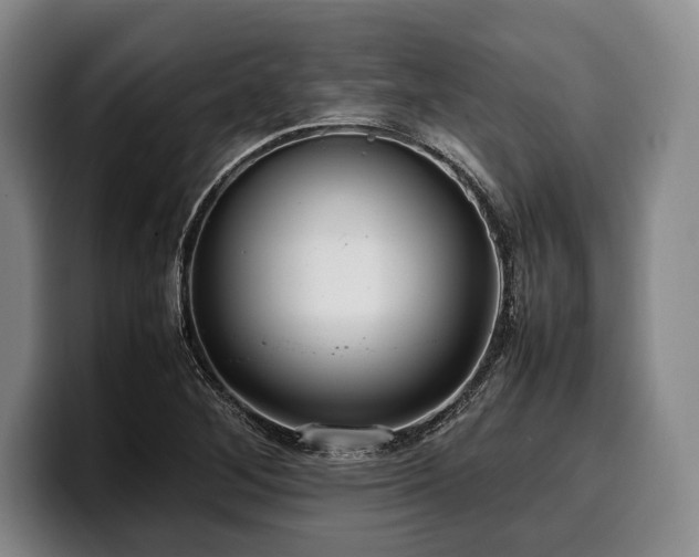 X0000100311268200806051448