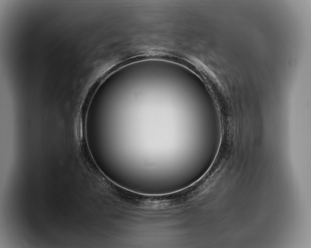X0000100311269200806051448