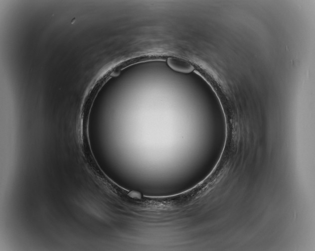 X0000100311270200806051448