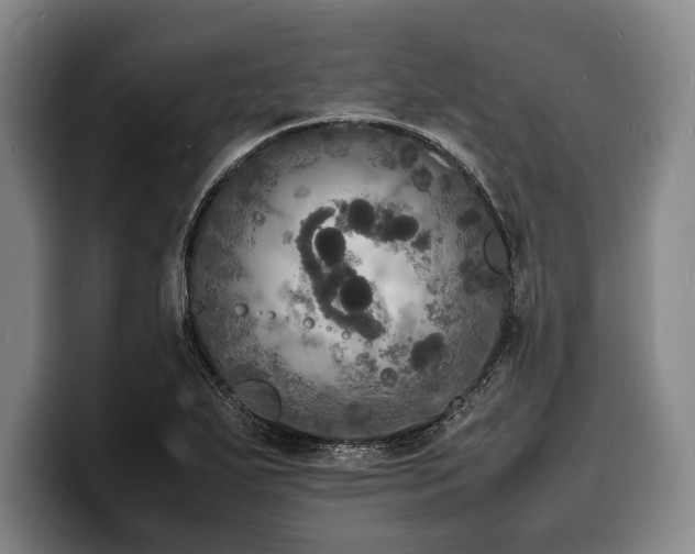 X0000100311271200806051448