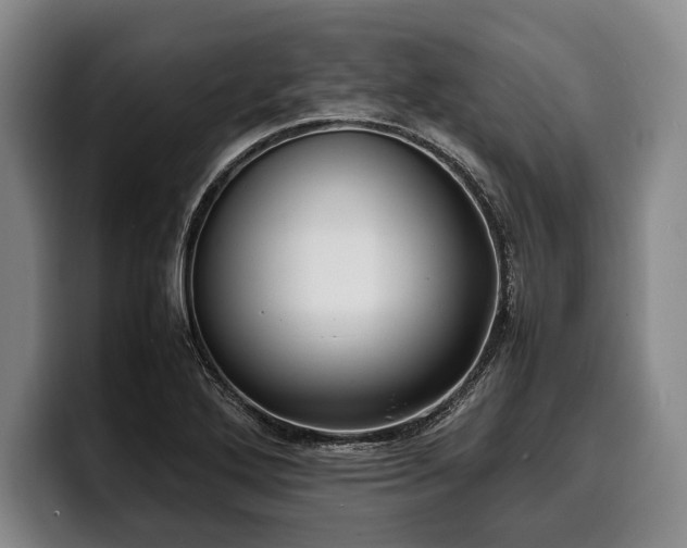 X0000100311272200806051448