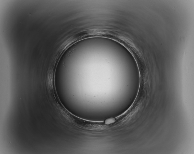 X0000100311273200806051448
