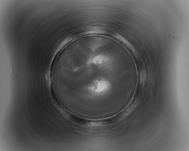 X0000100311274200806051448