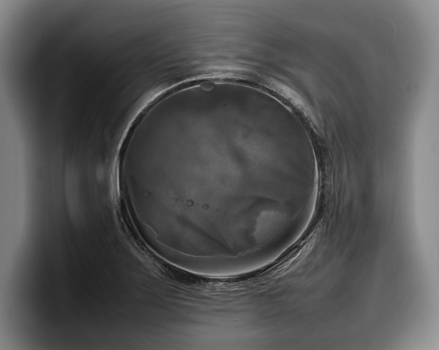 X0000100311275200806051448