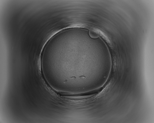 X0000100311276200806051448